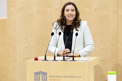 FPÖ-Europasprecherin Petra Steger im Nationalrat.