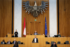 FPÖ-Mediensprecher Christian Hafenecker im neu sanierten Parlament.