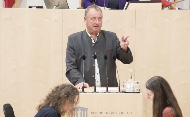 FPÖ-Rechnungshofsprecher Wolfgang Zanger im Parlament.