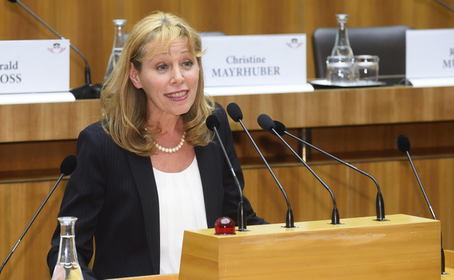 Der gf. FPÖ-Klubobmann Johann Gudenus weist die Kritik der WGKK-Obfrau Ingrid Reischl an der Neustrurieruntz der Krankenkassen energisch als "Panikmacherei" zurück.