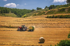 EU-Landwirtschafts-Irrweg „Farm-to-Fork” sofort zurücknehmen!