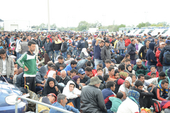 Die derzeit laufende Konferenz der Landesflüchtlingsreferenten sollte sich um sofortigen Asylstopp drehen!