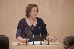 FPÖ-Familiensprecherin Edith Mühlberghuber im Nationalrat.