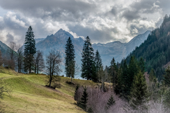 Die Waldflächen Österreichs wachsen pro Jahr um 2.300 Hektar - ein Aufforstungs-Zwang seitens der EU ist also völlig unnötig.