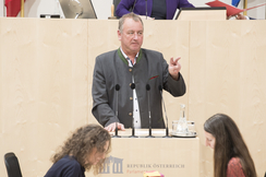 FPÖ-Rechnungshofsprecher Wolfgang Zanger im Parlament.
